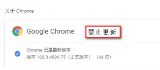 谷歌浏览器如何关闭更新提示6