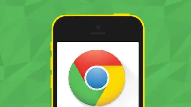 Google Chrome浏览器如何通过开发者工具优化网页性能1