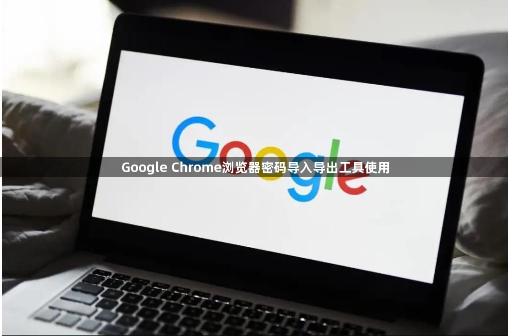 Google Chrome浏览器密码导入导出工具使用1