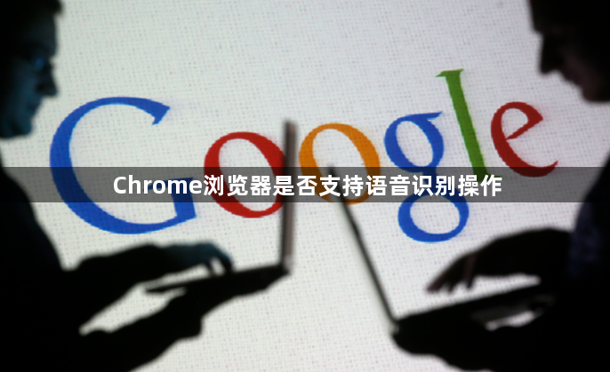 Chrome浏览器是否支持语音识别操作1