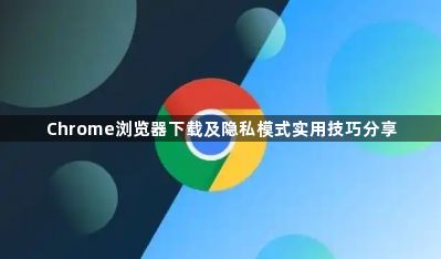 Chrome浏览器下载及隐私模式实用技巧分享1