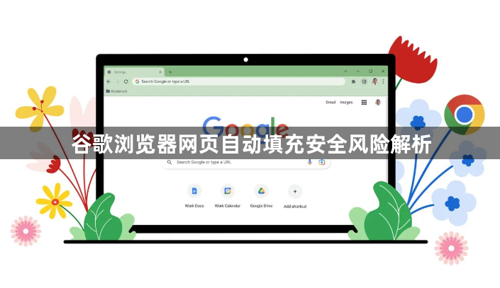 谷歌浏览器网页自动填充安全风险解析1