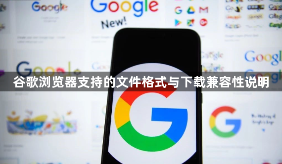 谷歌浏览器支持的文件格式与下载兼容性说明1
