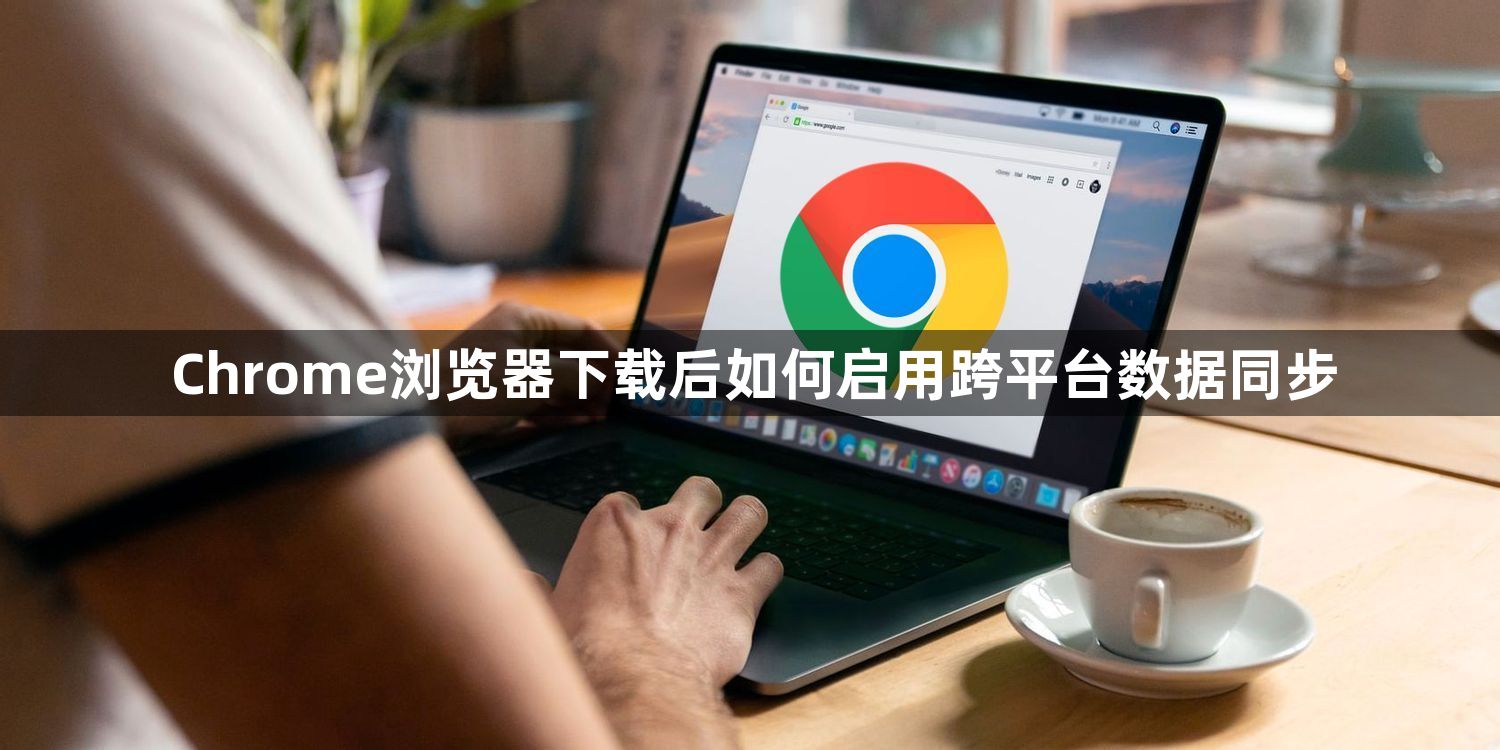 Chrome浏览器下载后如何启用跨平台数据同步1