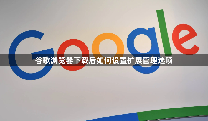 谷歌浏览器下载后如何设置扩展管理选项1