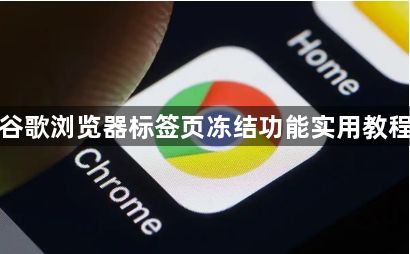 谷歌浏览器标签页冻结功能实用教程1