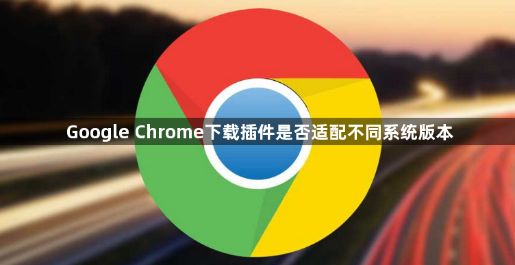 Google Chrome下载插件是否适配不同系统版本1