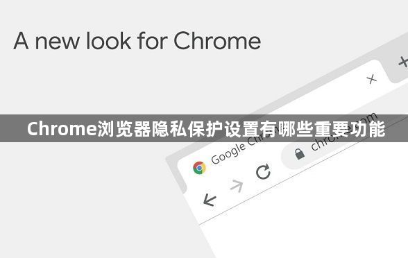 Chrome浏览器隐私保护设置有哪些重要功能1