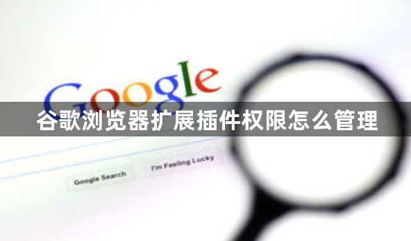 谷歌浏览器扩展插件权限怎么管理1