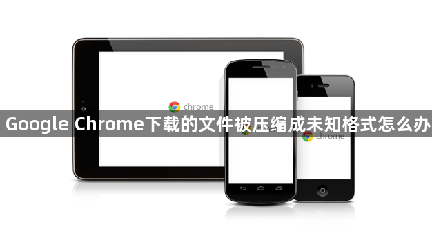 Google Chrome下载的文件被压缩成未知格式怎么办1