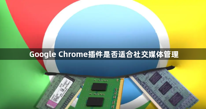 Google Chrome插件是否适合社交媒体管理1